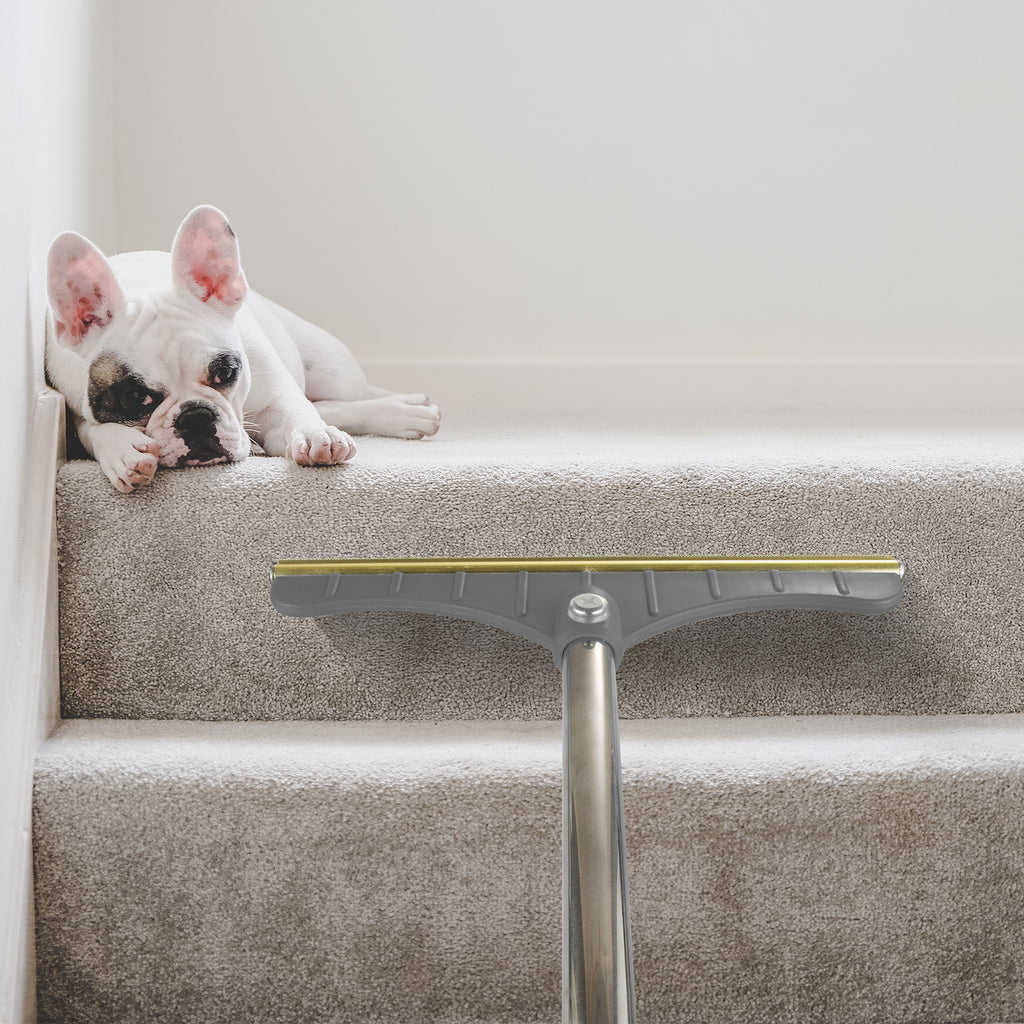 Long-handle carpet remover lifting pet hair from a rug