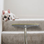 Long-handle carpet remover lifting pet hair from a rug