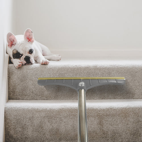 Long-handle carpet remover lifting pet hair from a rug